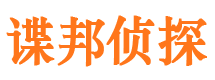 红桥市婚外情调查